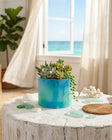Resin Bowl | Succulent | Sea Blue and Green Algae Peppered Moth Studios 